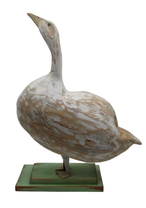 Farmyard Goose, Ramsay Gillies, Scotland